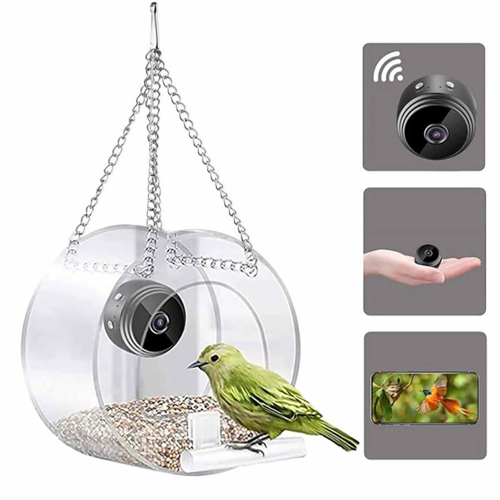 Smart Bird Feeder Camera - Pengumpan Burung Dengan Kamera Penglihatan Malam