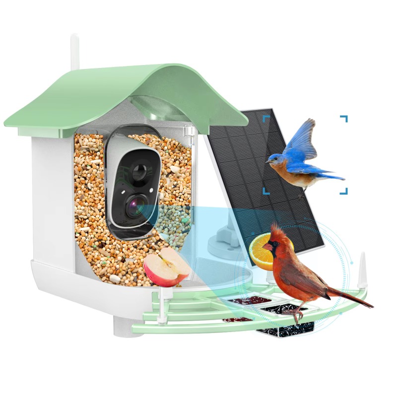 Smart Bird Feeder Camera - Kamera Pemotretan Otomatis Video Aplikasi 2026,