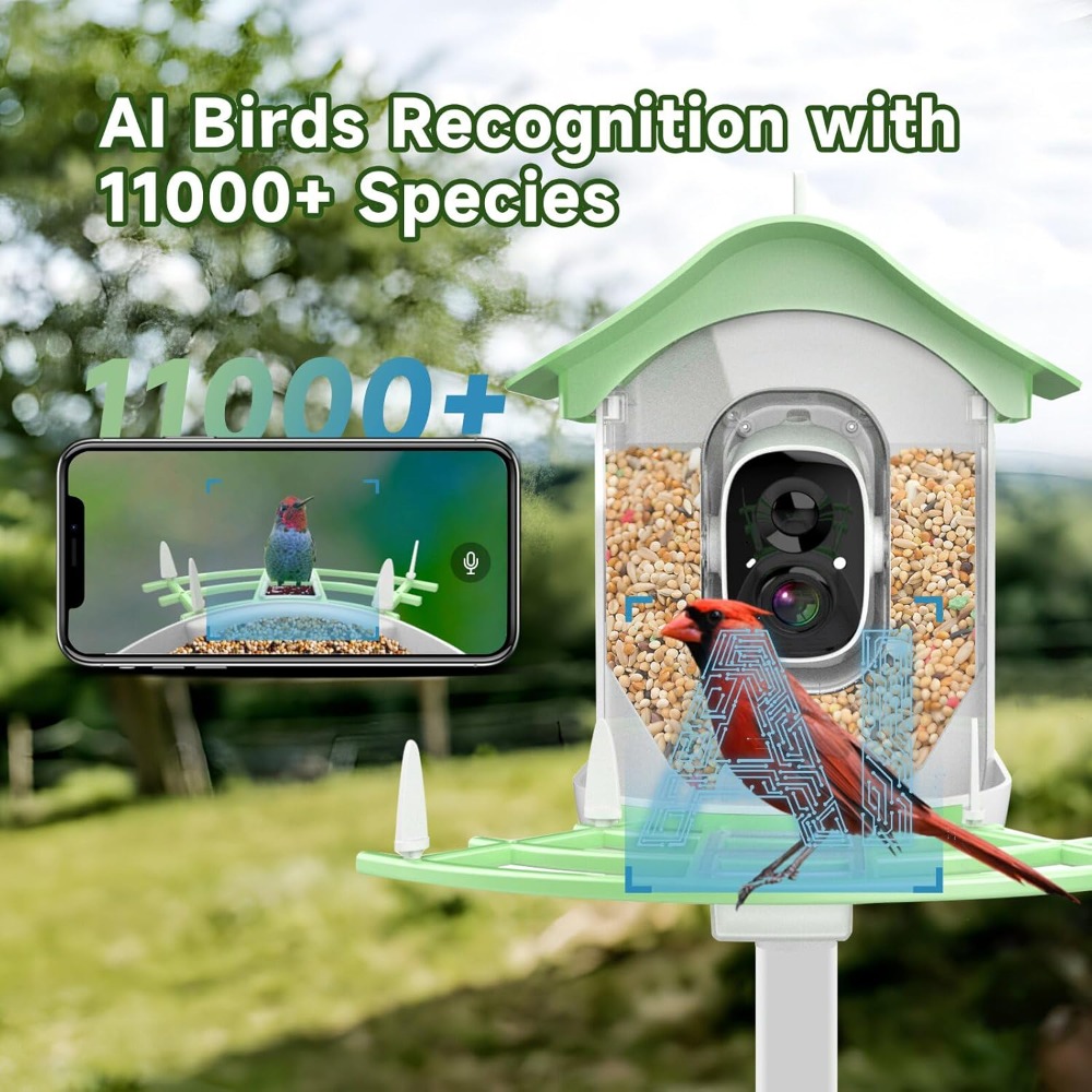 Pengumpan Burung Pintar Berten - Smart Bird Feeder Camera ulasan dan harga
