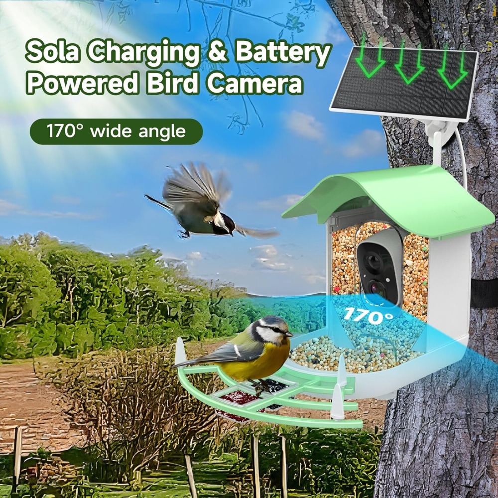 Pengumpan Burung Pintar Berten - Smart Bird Feeder Camera ulasan dan harga