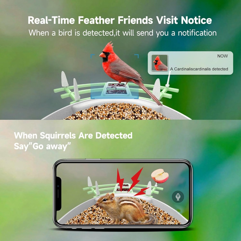 Pengumpan Burung Pintar Berten - Smart Bird Feeder Camera ulasan dan harga