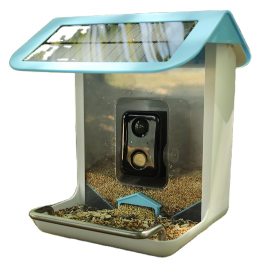 Kamera Wifi Satwa Liar Luar Ru - Smart Bird Feeder Camera ulasan dan harga