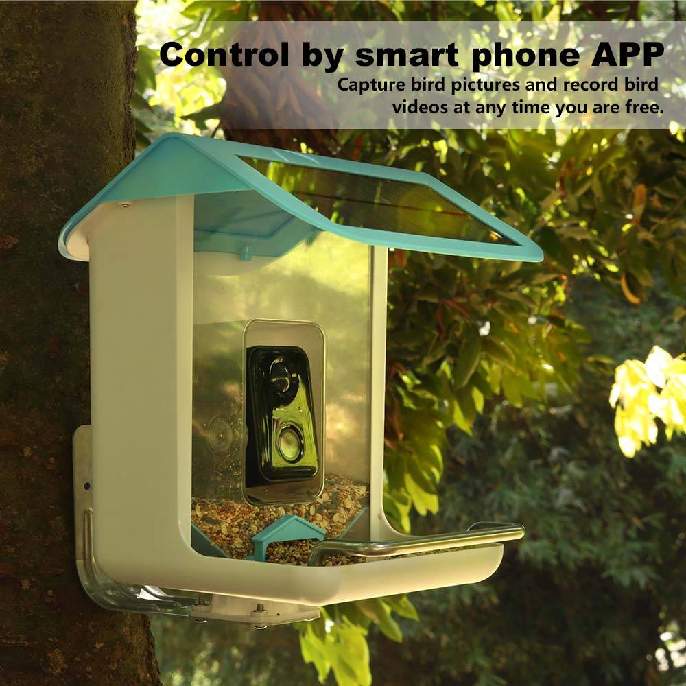 Kamera Wifi Satwa Liar Luar Ru - Smart Bird Feeder Camera ulasan dan harga