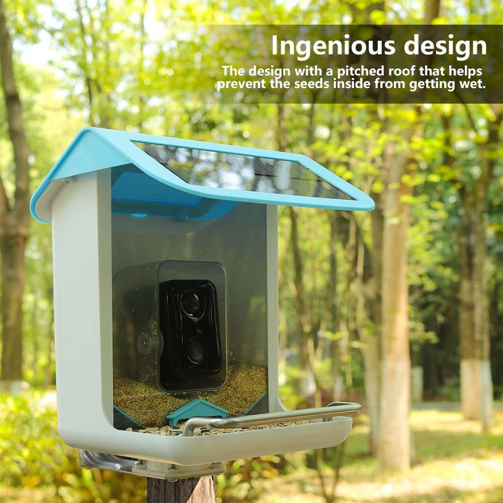 Kamera Wifi Satwa Liar Luar Ru - Smart Bird Feeder Camera ulasan dan harga