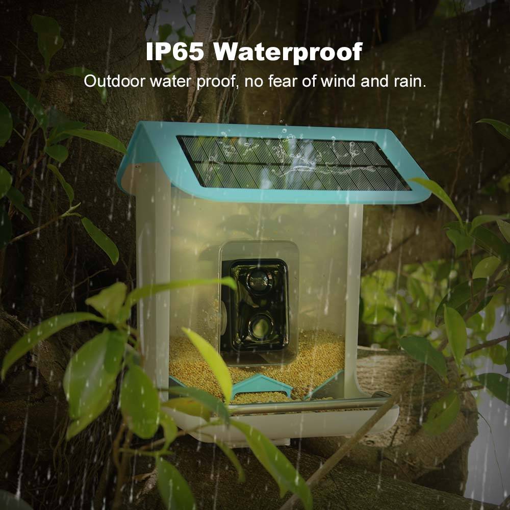 Kamera Wifi Satwa Liar Luar Ru - Smart Bird Feeder Camera ulasan dan harga