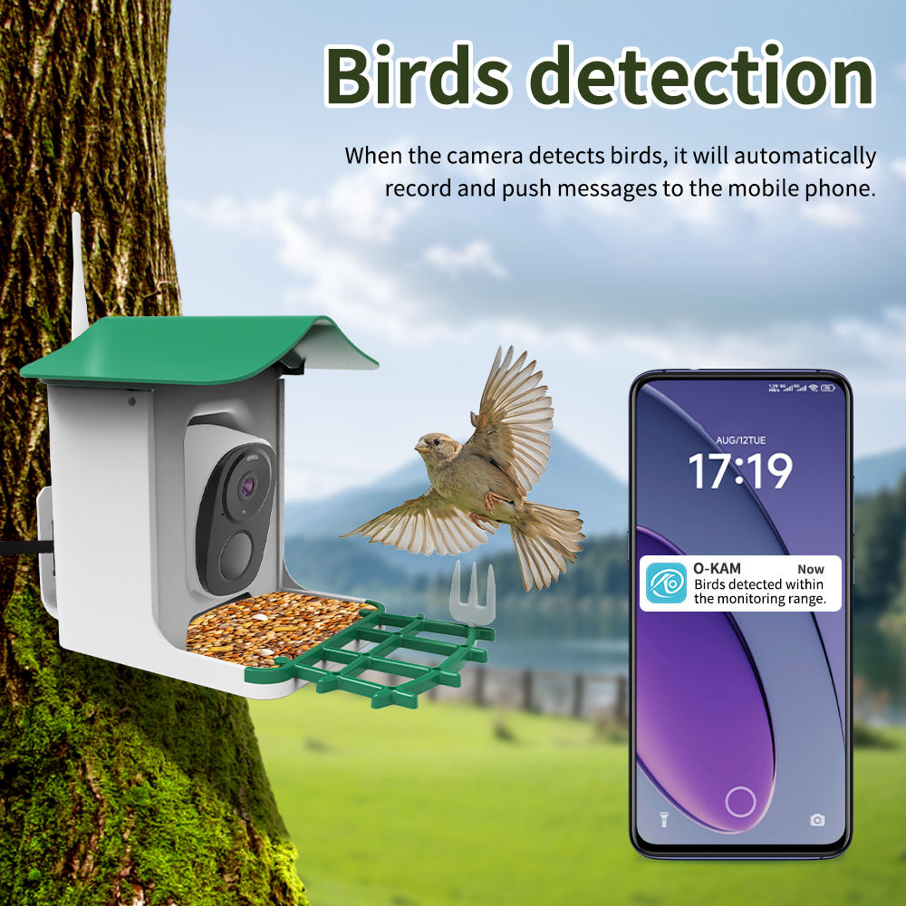 Kamera Pengumpan Burung Pintar - Smart Bird Feeder Camera ulasan dan harga
