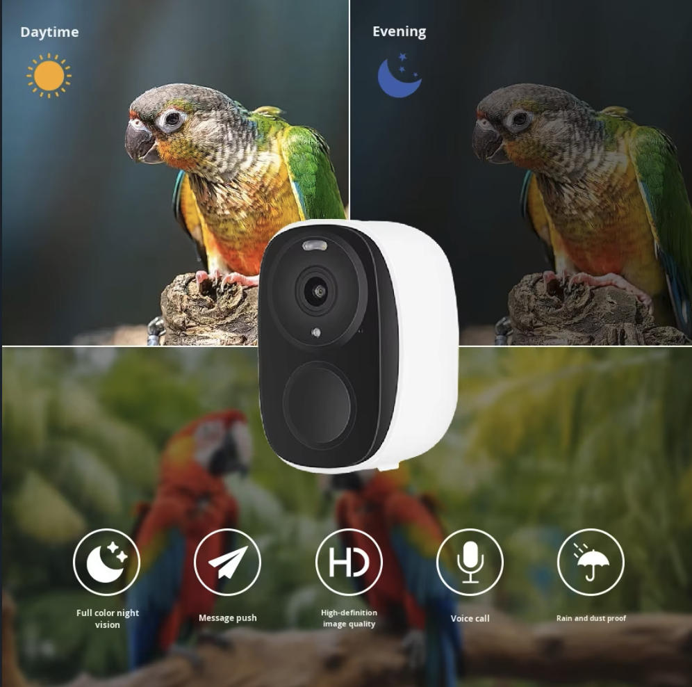 Kamera Pengumpan Burung Pintar - Smart Bird Feeder Camera ulasan dan harga