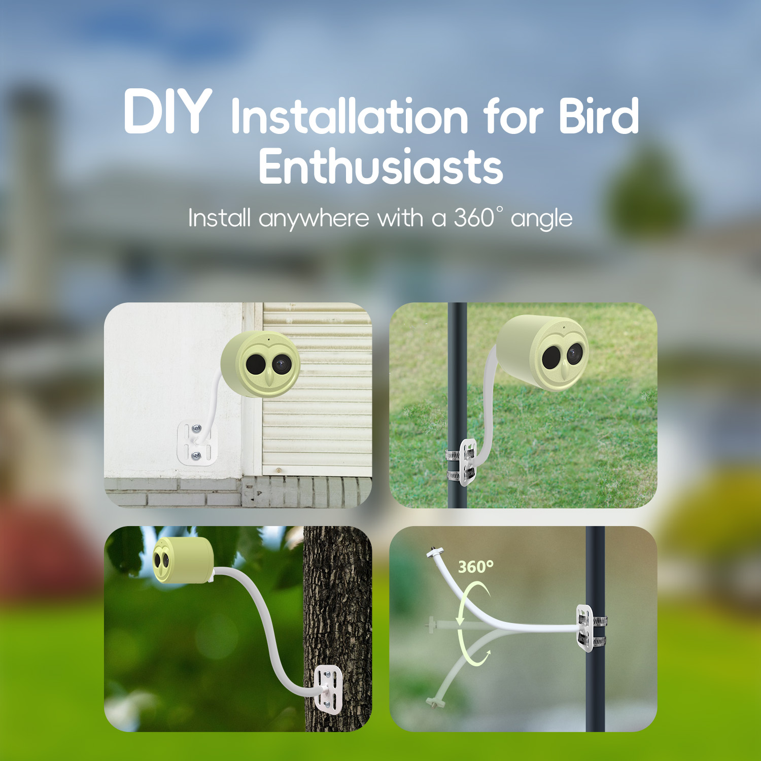 WILLFINE Pengumpan Burung Otom - Smart Bird Feeder Camera ulasan dan harga