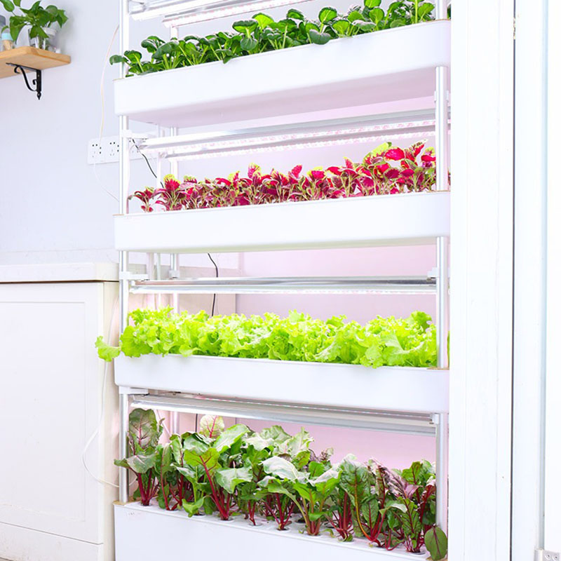 Sistem Tumbuh Hidroponik Verti - Smart Garden Box ulasan dan harga