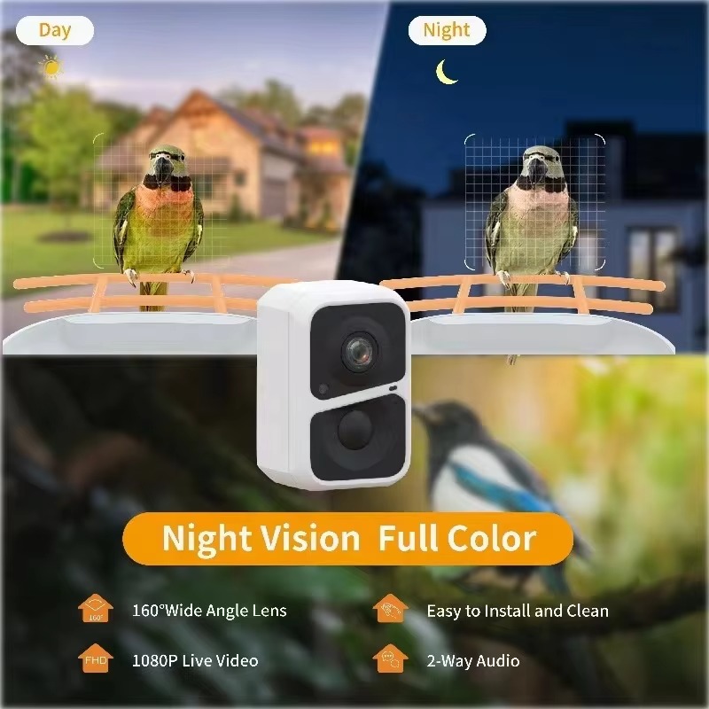 Kamera Pengumpan Burung AI Ide - Smart Bird Feeder Camera ulasan dan harga