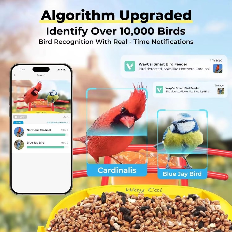 Kamera Pengumpan Burung AI Ide - Smart Bird Feeder Camera ulasan dan harga