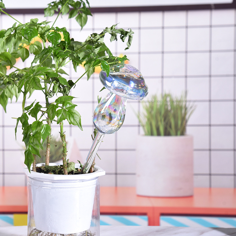 1/2 Buah Bohlam Penyiraman Tan - Smart Garden Auk ulasan dan harga