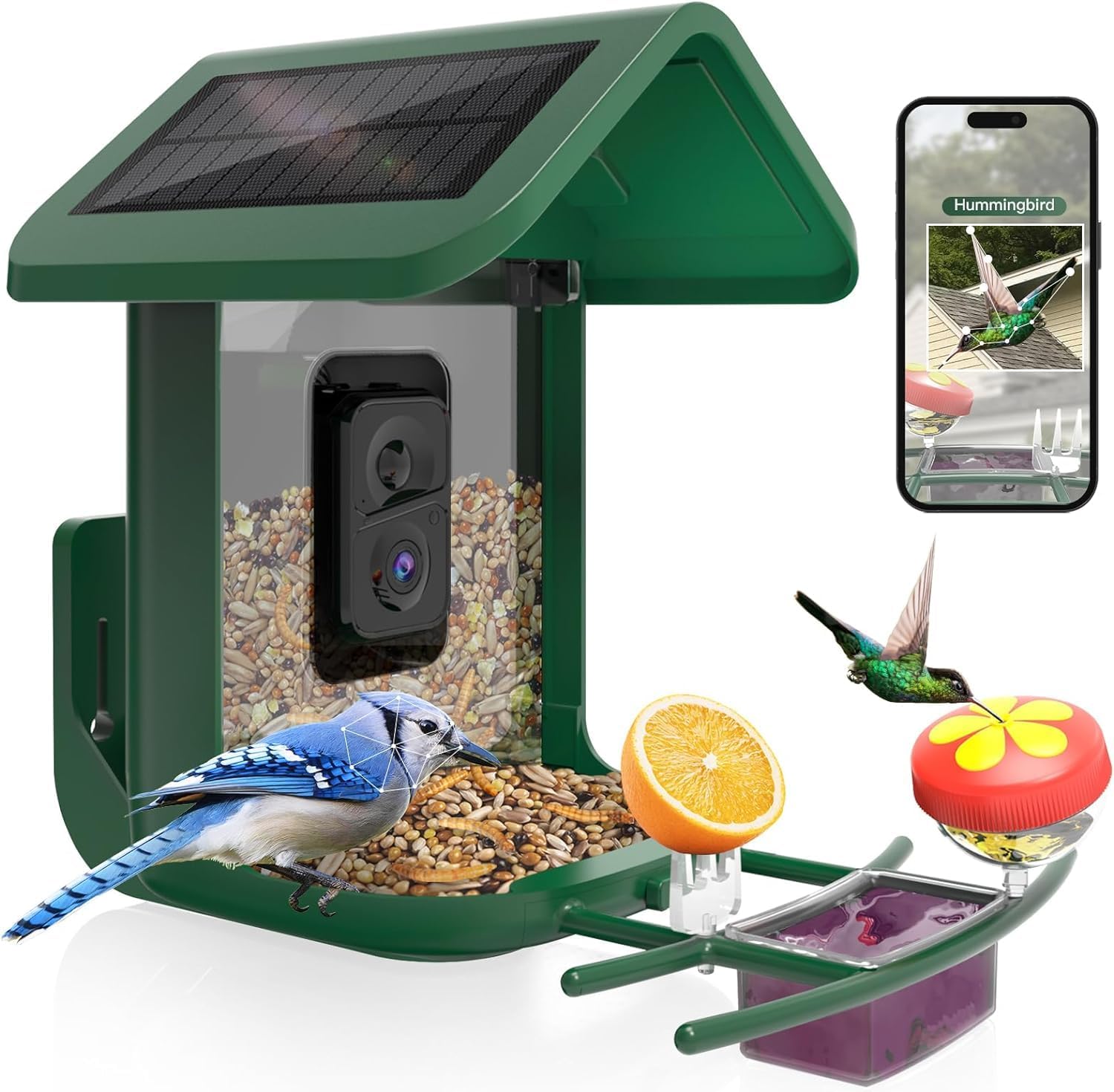 Pengumpan Burung Pintar dengan - Smart Bird Feeder Camera ulasan dan harga