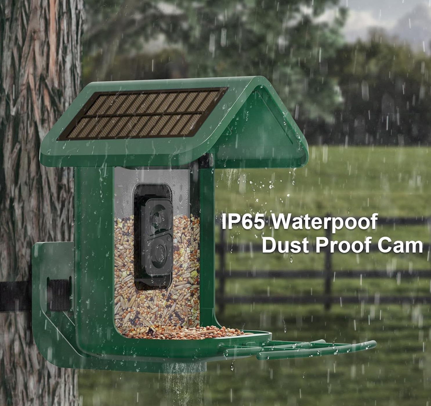 Pengumpan Burung Pintar dengan - Smart Bird Feeder Camera ulasan dan harga