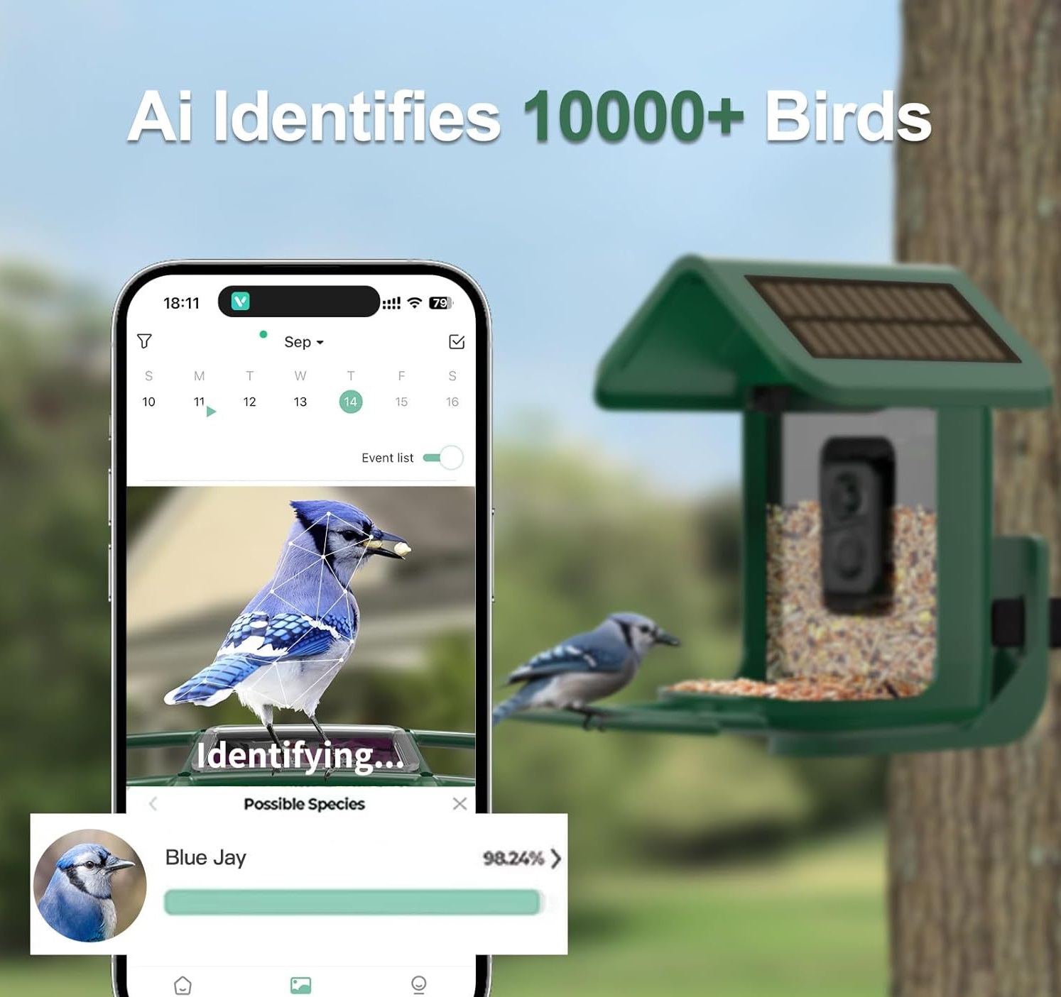 Pengumpan Burung Pintar dengan - Smart Bird Feeder Camera ulasan dan harga
