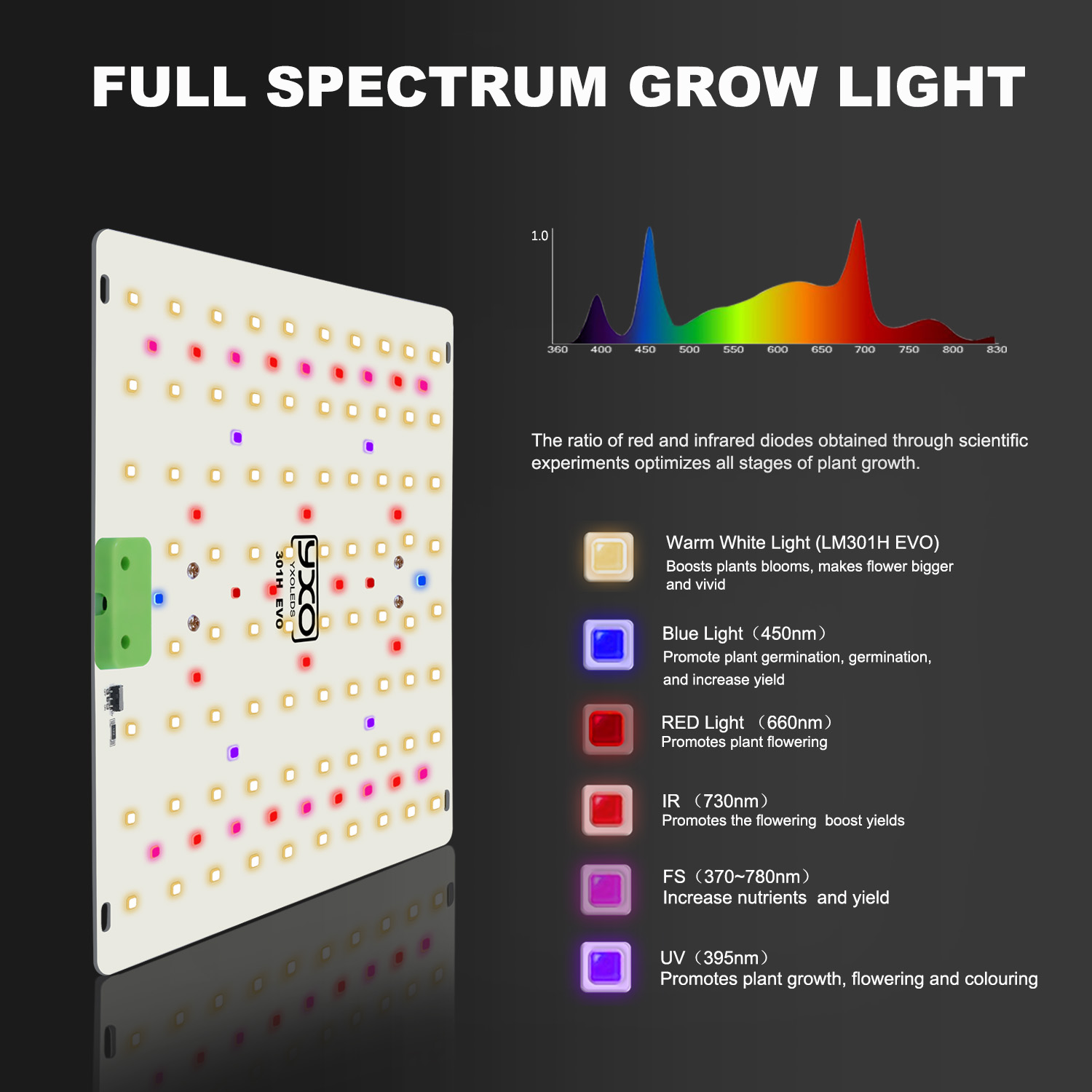 LM301H EVO Quantum LED 85W 180 - Grow Tent Complete Kit ulasan dan harga