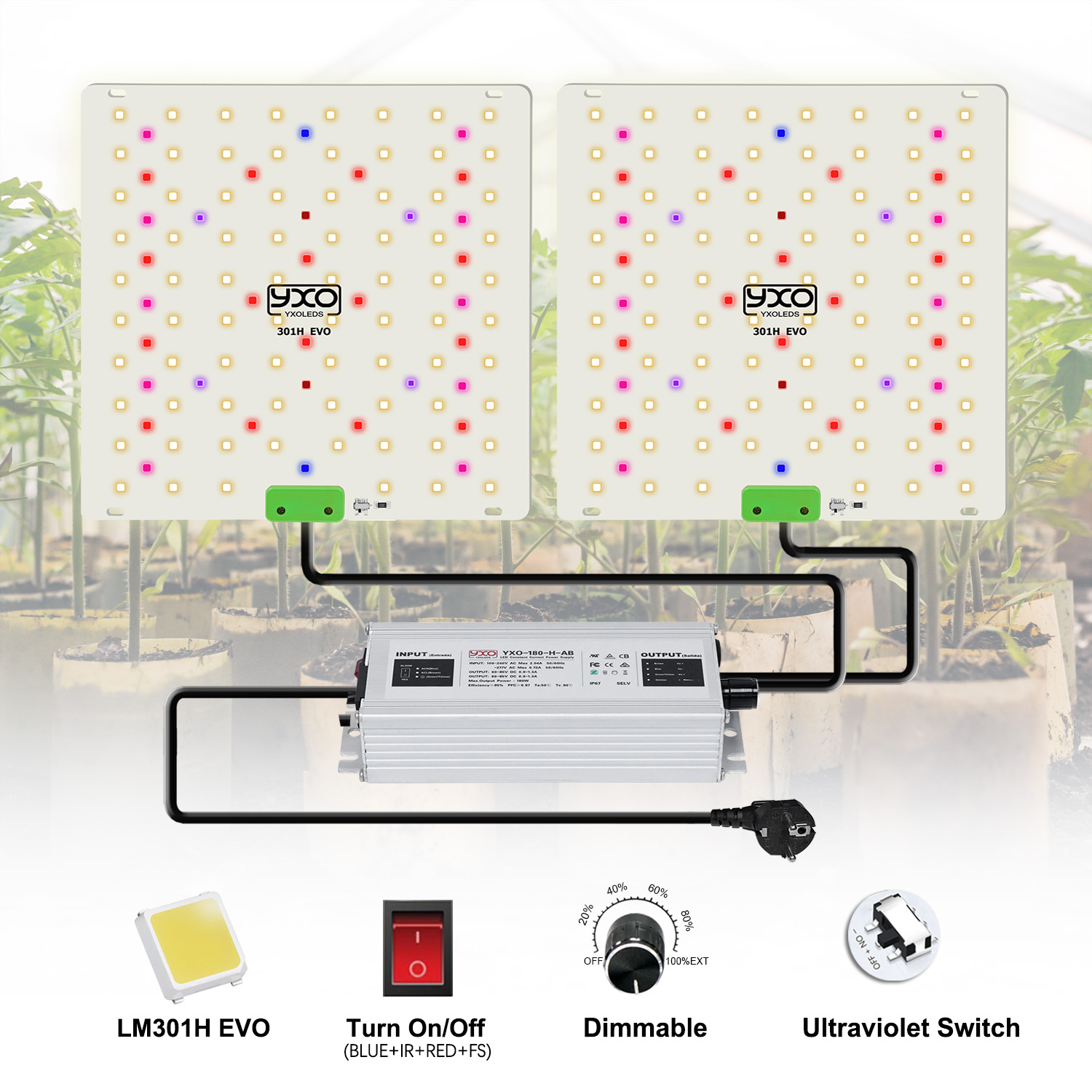 LM301H EVO Quantum LED 85W 180 - Grow Tent Complete Kit ulasan dan harga