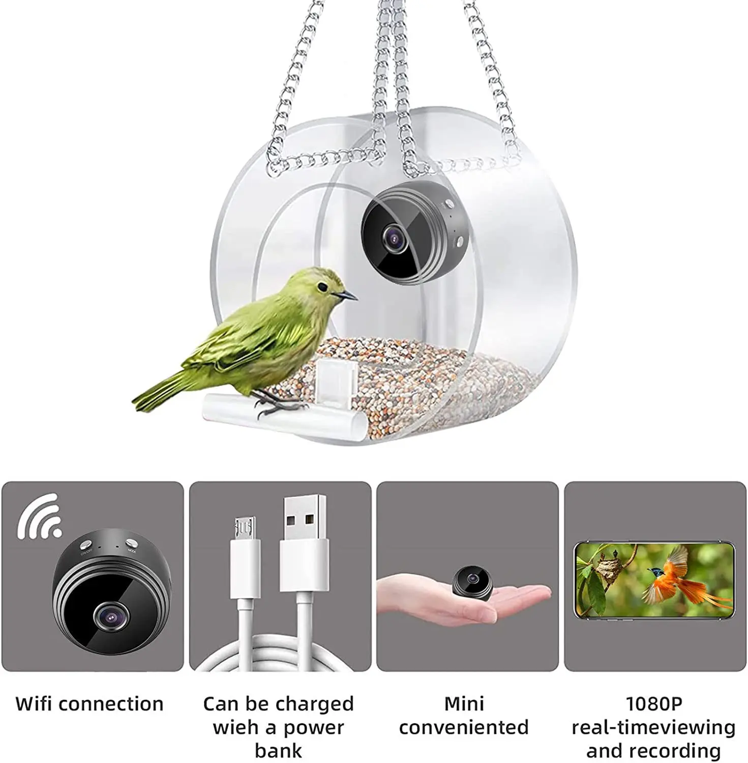 2023 Tempat Makan Burung Pinta - Smart Bird Feeder Camera ulasan dan harga