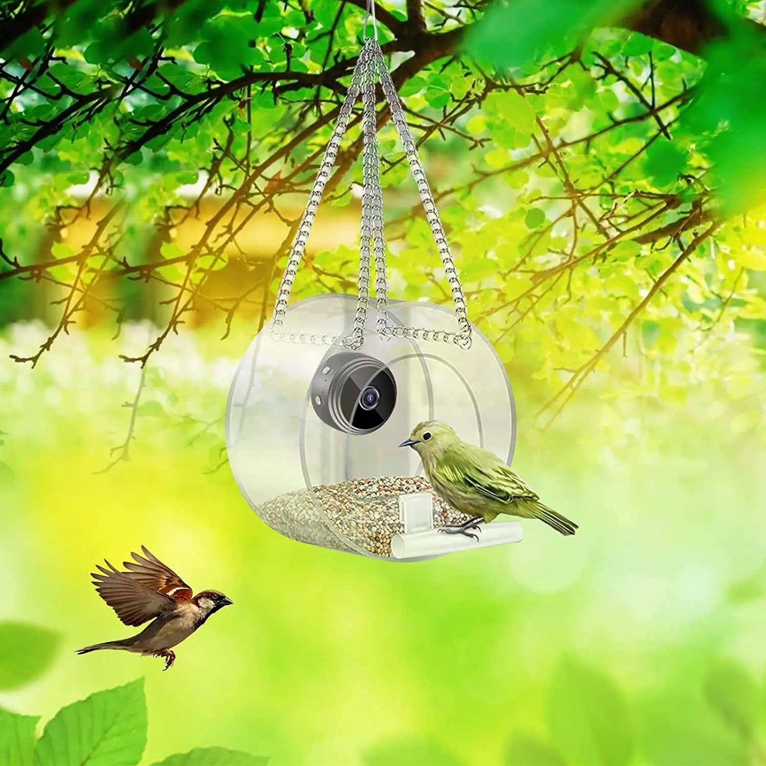 2023 Tempat Makan Burung Pinta - Smart Bird Feeder Camera ulasan dan harga
