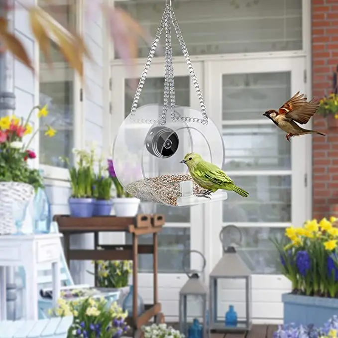 2023 Tempat Makan Burung Pinta - Smart Bird Feeder Camera ulasan dan harga
