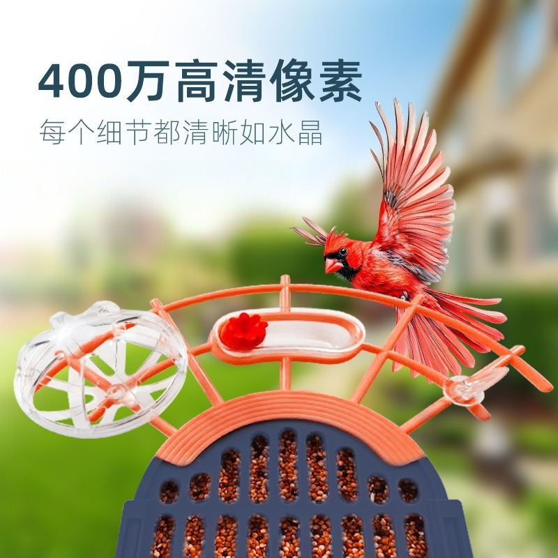 Pengumpan otomatis tenaga sury - Smart Bird Feeder Camera ulasan dan harga