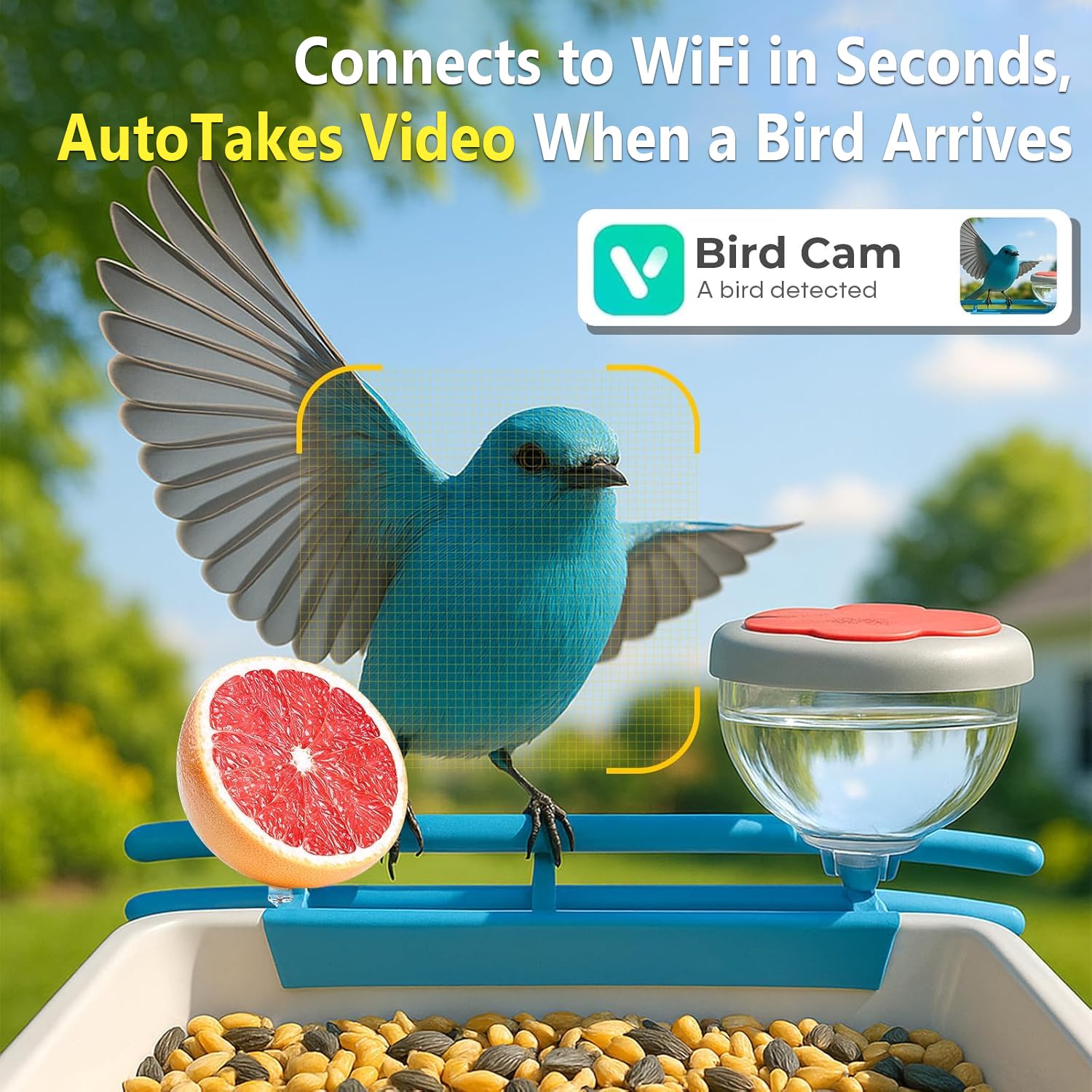Kamera Pengumpan Burung Pintar - Smart Bird Feeder Camera ulasan dan harga