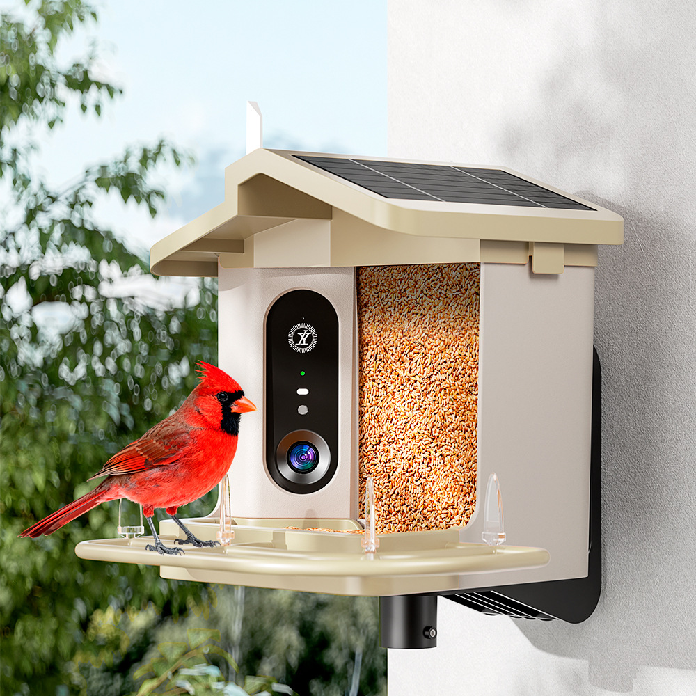 Kamera Pengumpan Burung Pintar - Smart Bird Feeder Camera ulasan dan harga