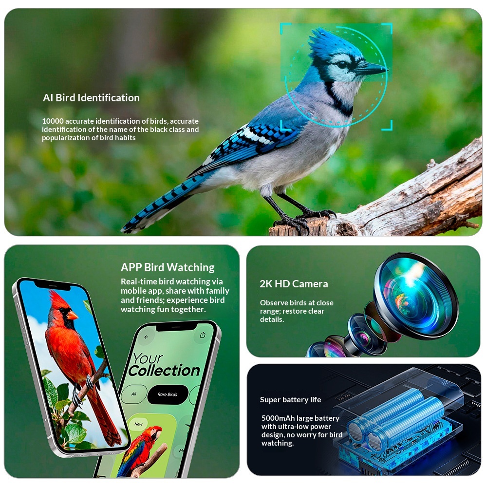 Kamera Pengumpan Burung Pintar - Smart Bird Feeder Camera ulasan dan harga