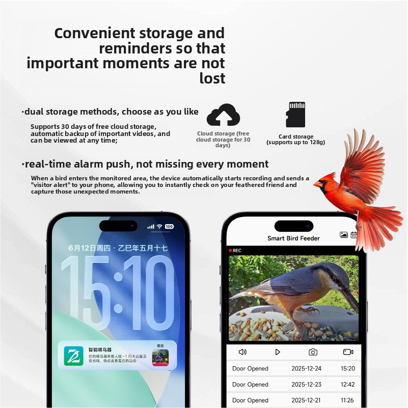 Kamera Pengumpan Burung Pintar - Smart Bird Feeder Camera ulasan dan harga