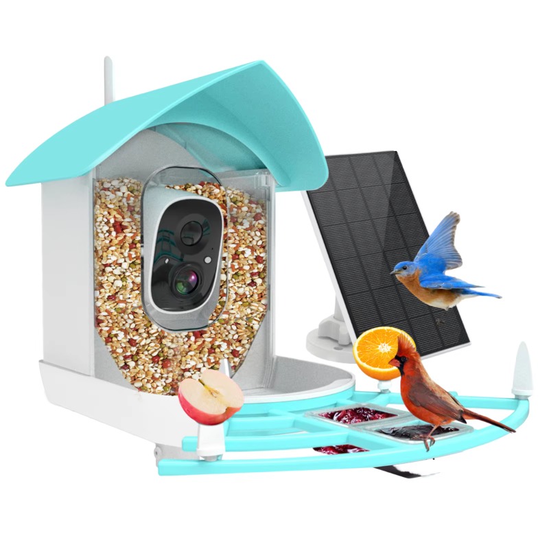 Kamera Pengumpan Burung Pintar - Smart Bird Feeder Camera ulasan dan harga