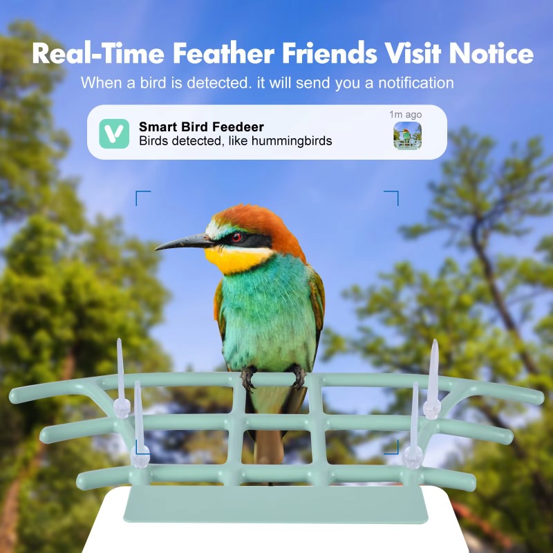 Kamera Pengumpan Burung Pintar - Smart Bird Feeder Camera ulasan dan harga