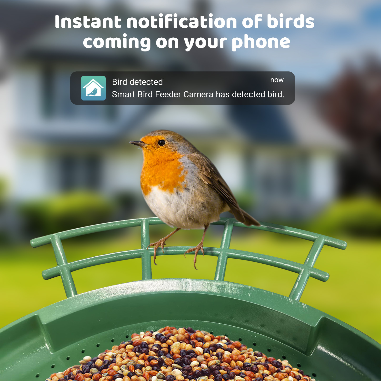 Pengumpan Burung Kamera Ganda  - Smart Bird Feeder Camera ulasan dan harga