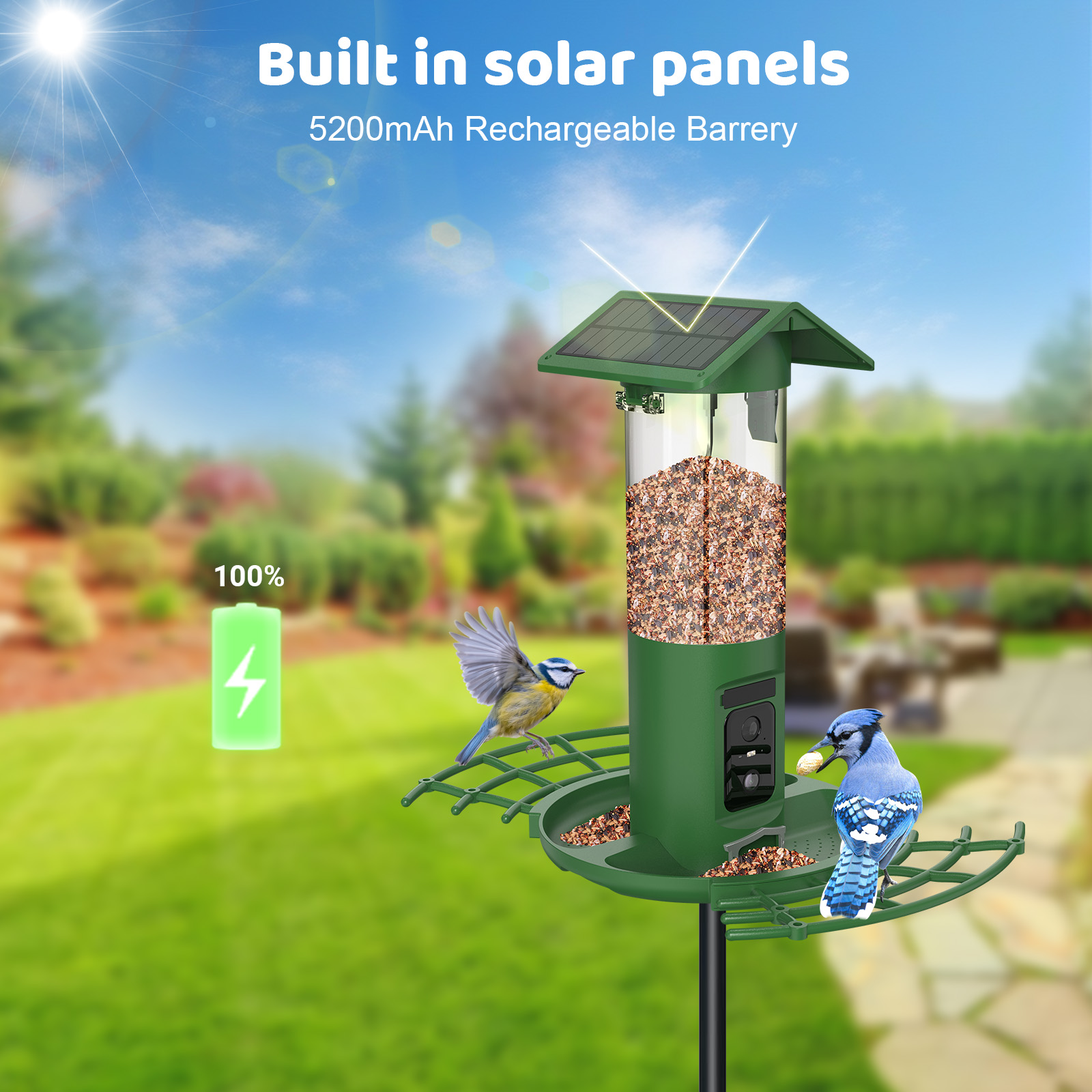 Pengumpan Burung Kamera Ganda  - Smart Bird Feeder Camera ulasan dan harga