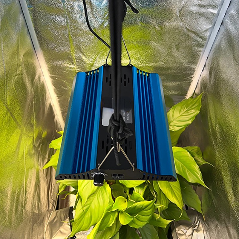 Tenda Tanam 60*60*160cm + Papa - Grow Tent Complete Kit ulasan dan harga