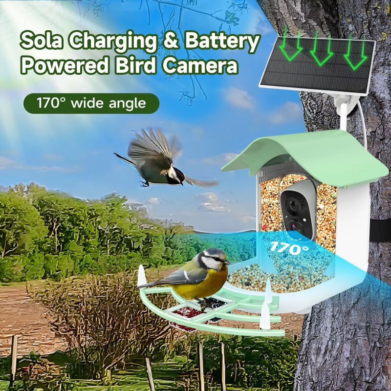 Kamera Pemotretan Otomatis Vid - Smart Bird Feeder Camera ulasan dan harga