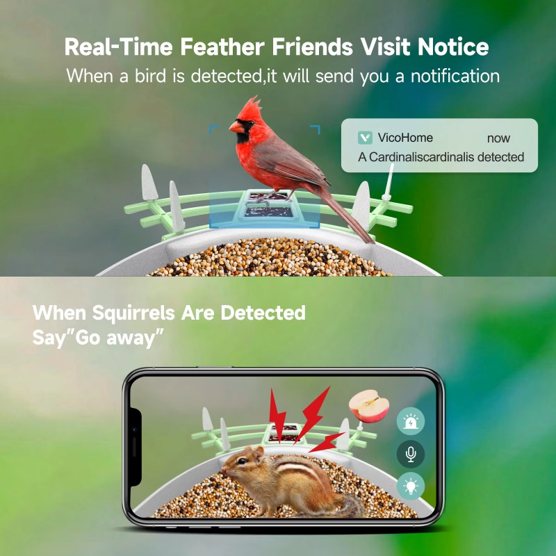 Kamera Pemotretan Otomatis Vid - Smart Bird Feeder Camera ulasan dan harga